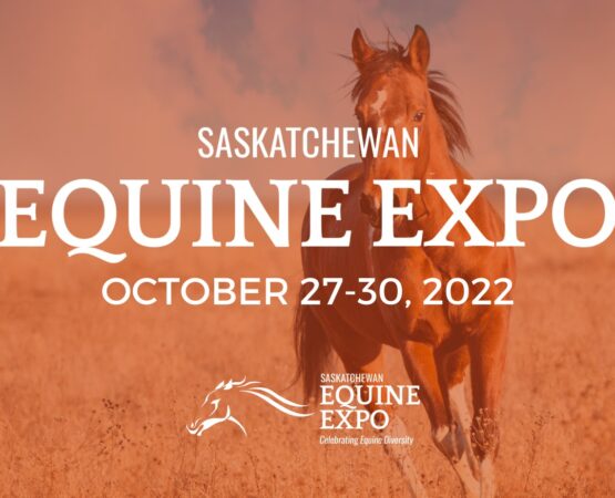 Saskatchewan Equine Expo