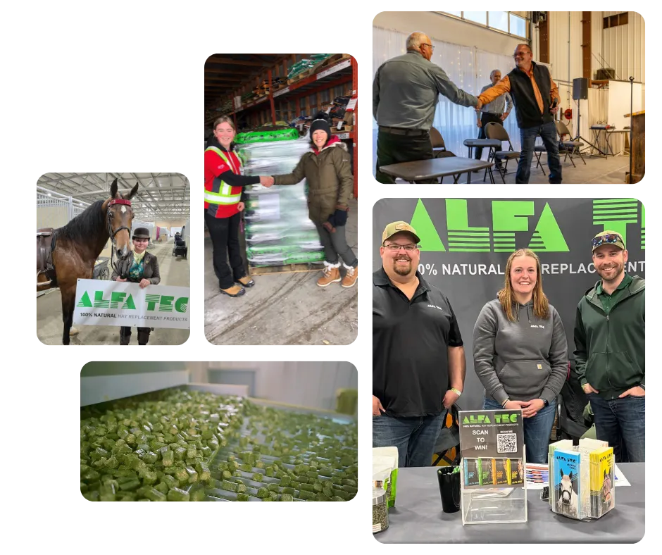 Join the ALFATEC team