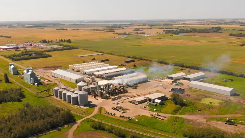 Legal Alfalfa Products plant in 2020