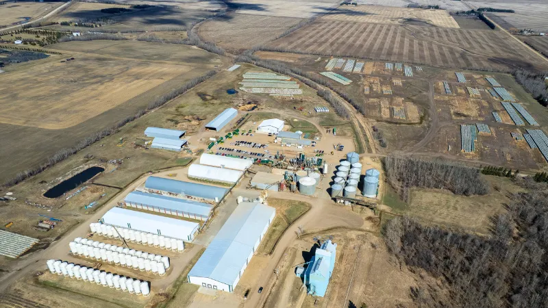 Legal Alfalfa Products plant in 2025