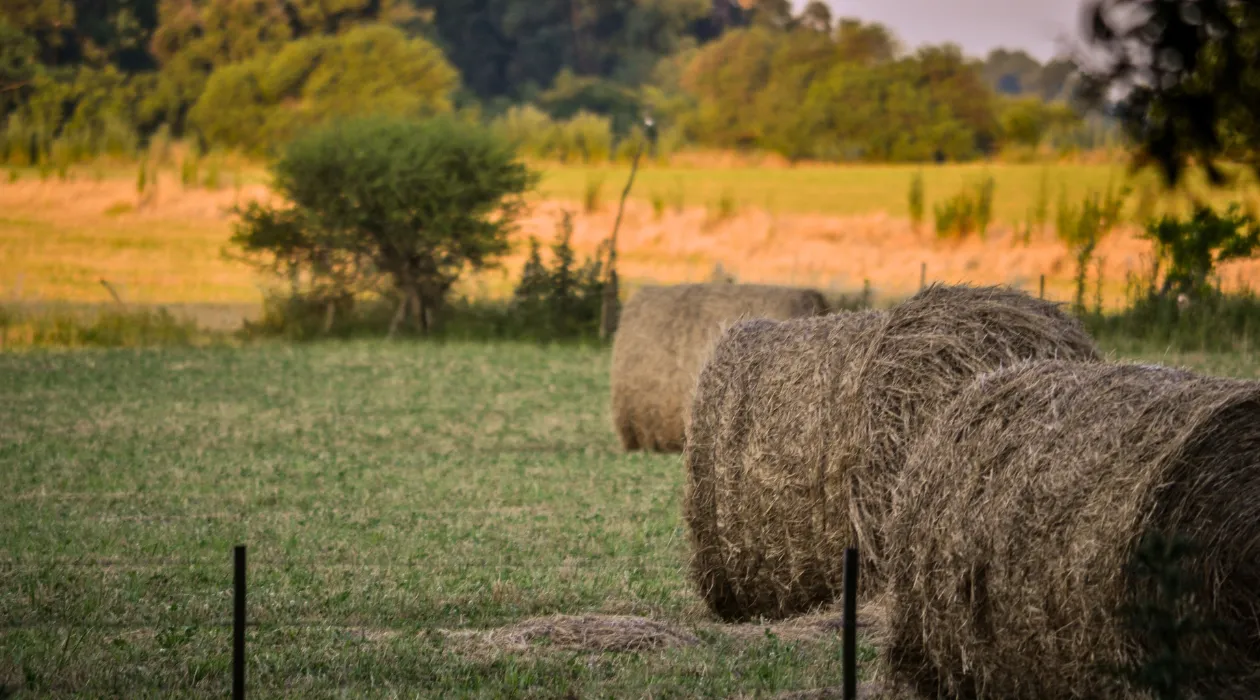 Haystacks