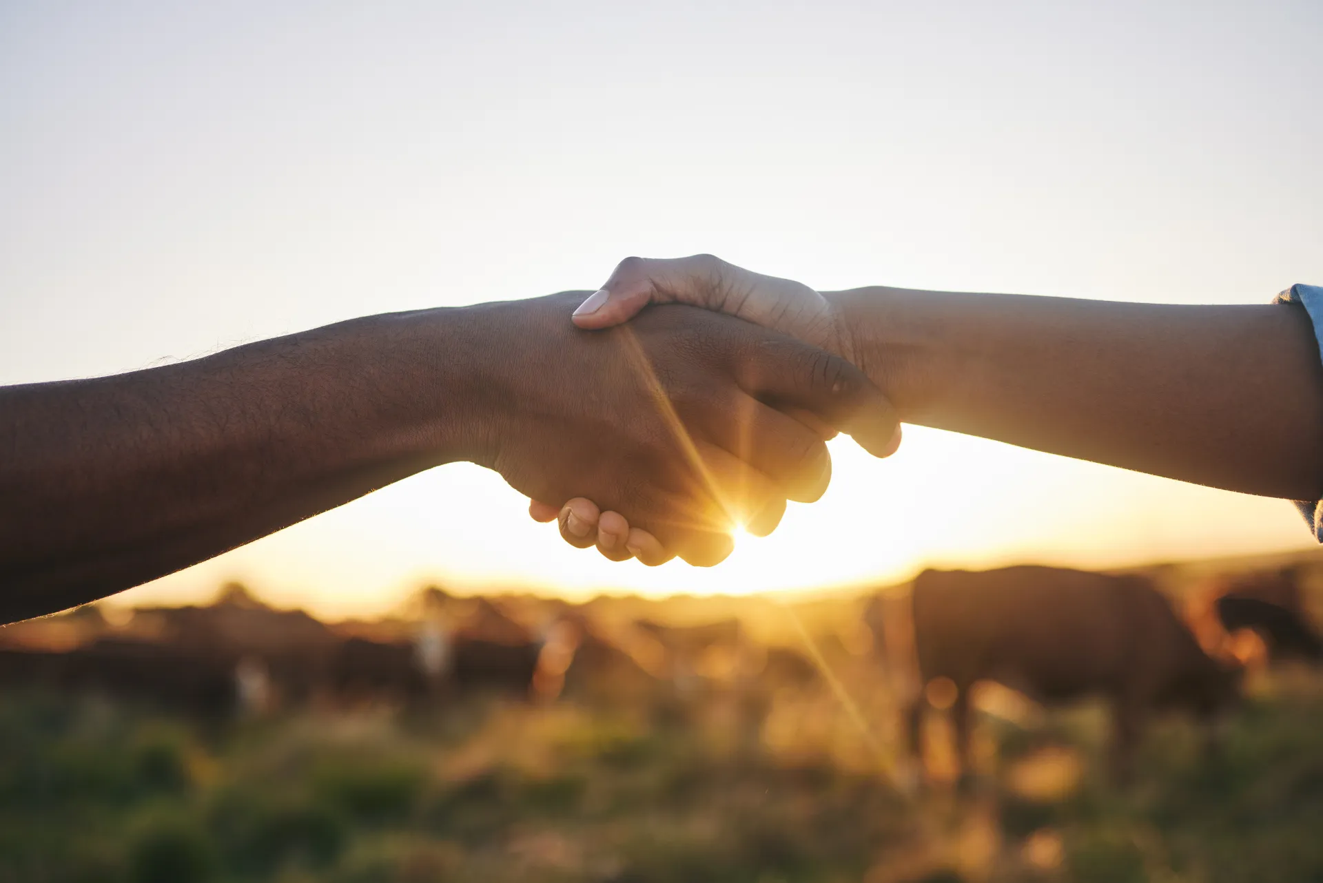 Farmers shaking hands