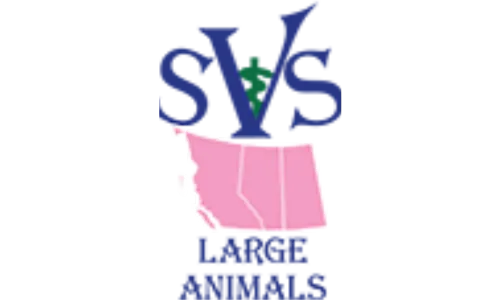 ALFATEC partner SVS