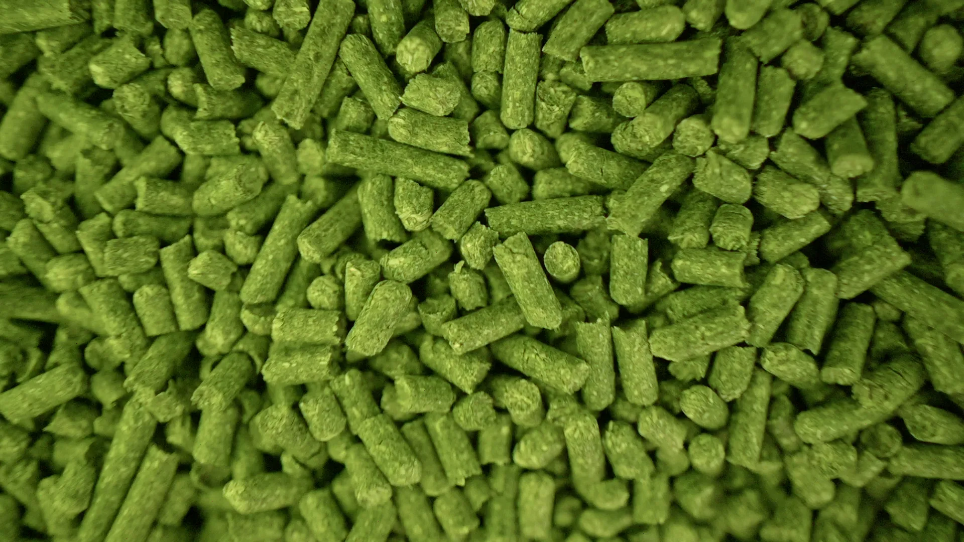 Dehydrated alfalfa pellets