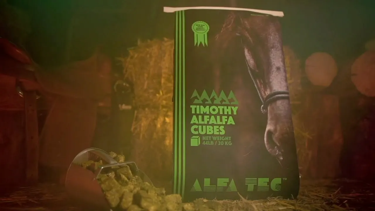ALFATEC video advertisement